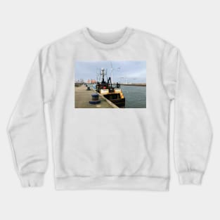 Seagulls after an easy meal Crewneck Sweatshirt